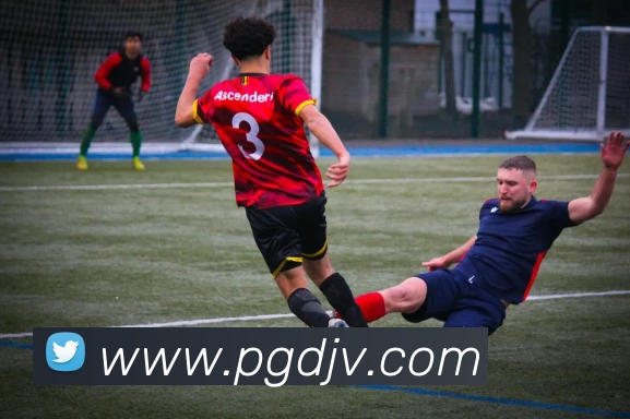 新葡京娱乐城平台生态图