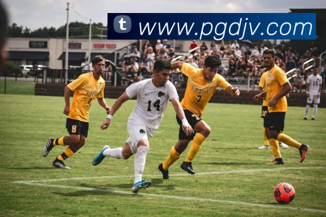 新葡京娱乐城APP 封面图